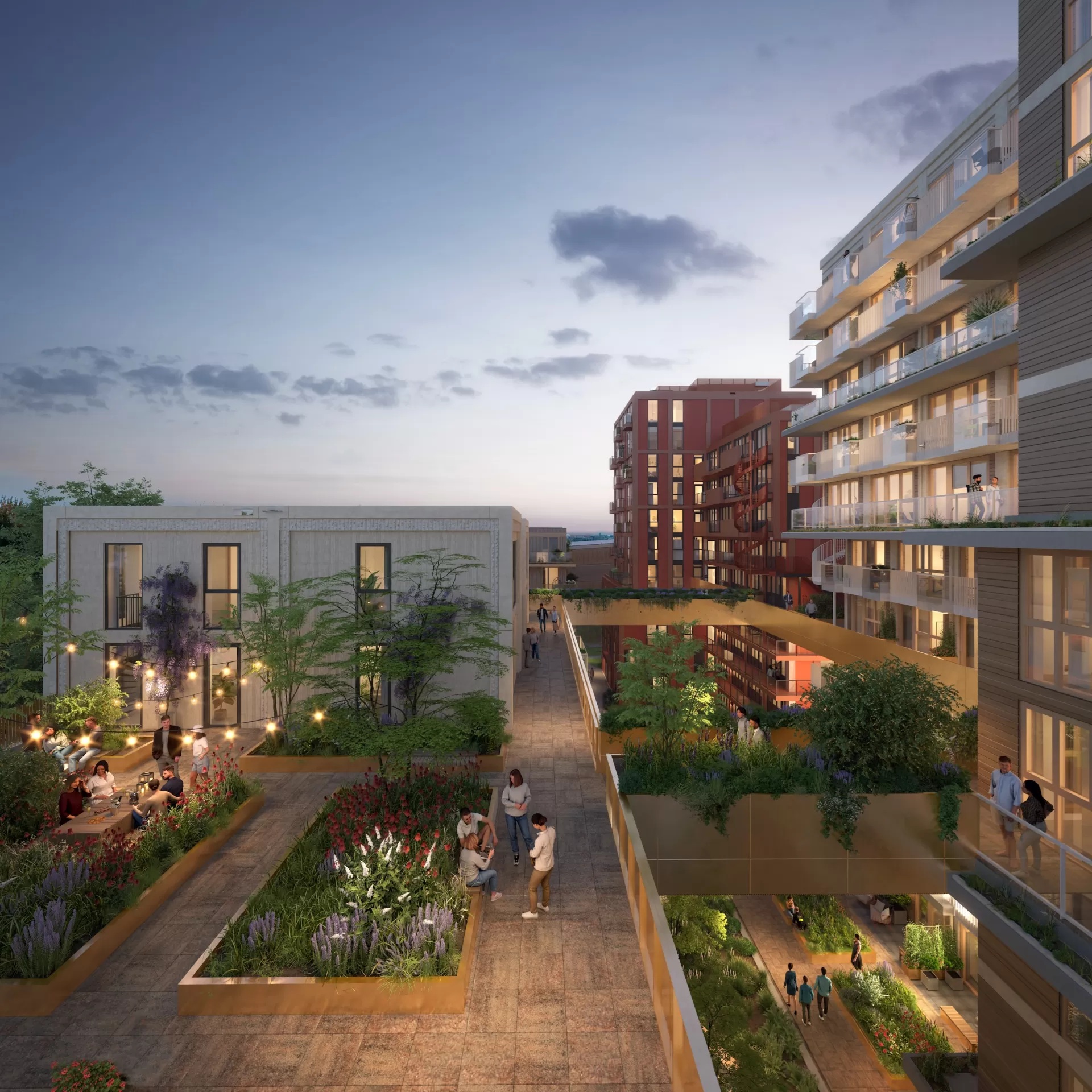 Roofgarden